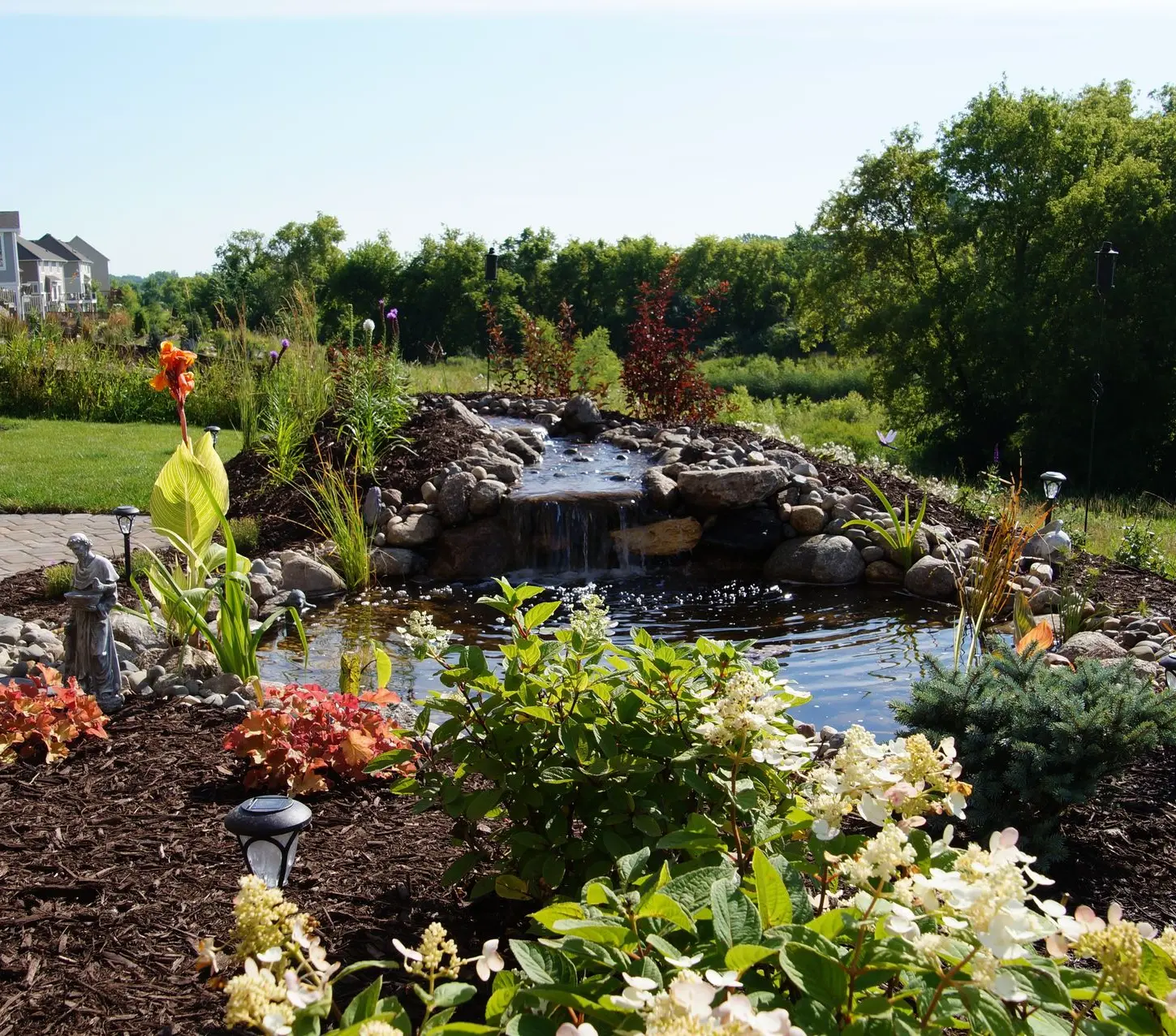 Custom natural pond with waterfall and aquatic plants