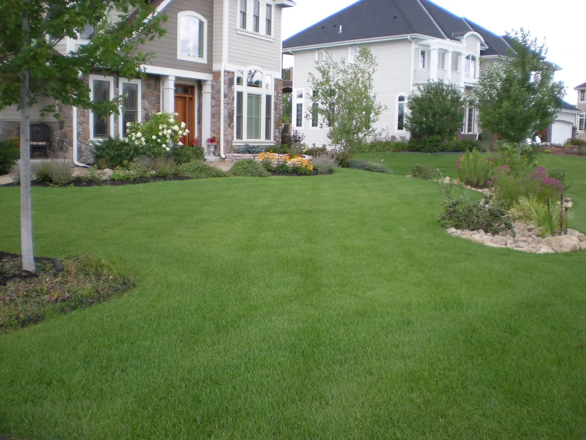 A residential lawn showcasing a smooth, evenly laid sod installation for a pristine and healthy yard.